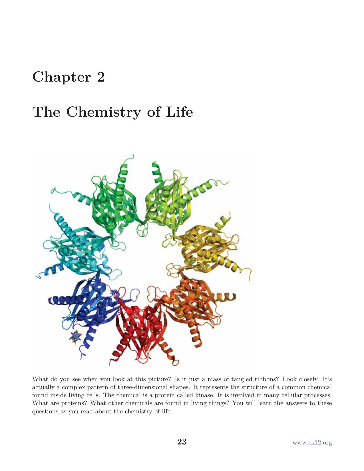 Biology Chapter2